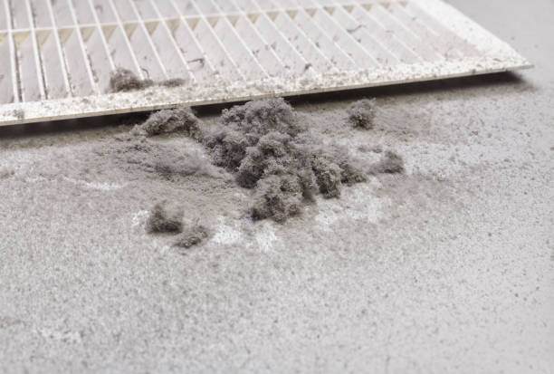 Air Duct Mold Removal in Rockville, IN