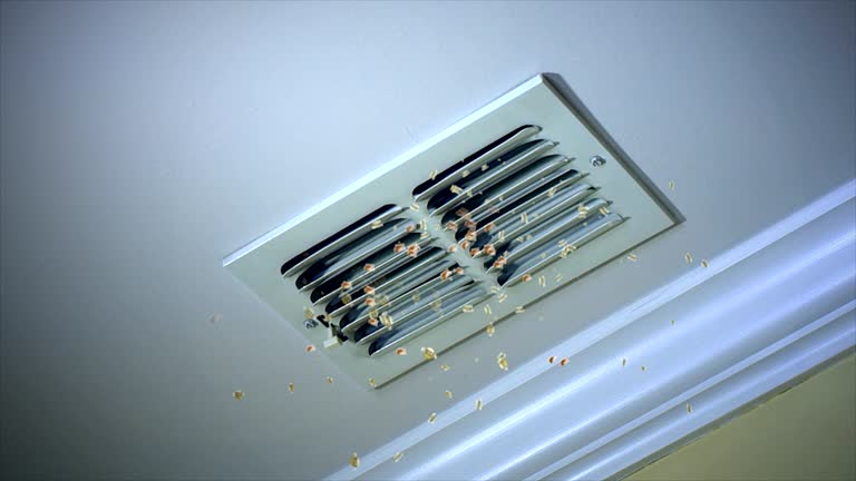 Best Commercial Air Duct Cleaning  in Rockville, IN