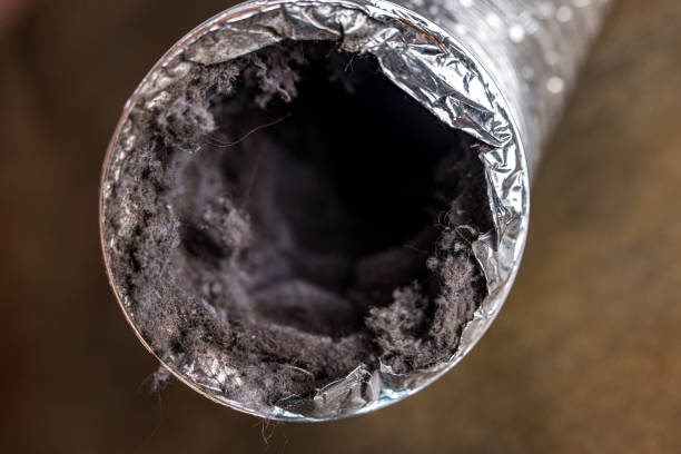 Best Ventilation Cleaning Services  in Rockville, IN